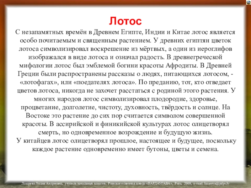 Лотос считается священным как атрибут регион. Лотос текст в древнем Египте. Текст Лотос символ чистоты и благородства. В древнем Египте роза считалась священным цветком.. Лотос символ чистоты и благородства текст по русскому языку.