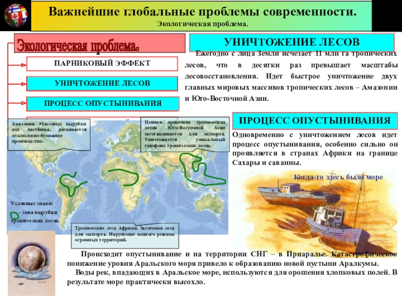 Глобальные проблемы современности экологическая проблема проект