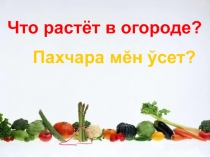 Презентация по чувашскому языку на тему Что растет в огороде