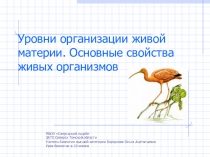 Презентация по биологии на тему Уровни организации живой природы