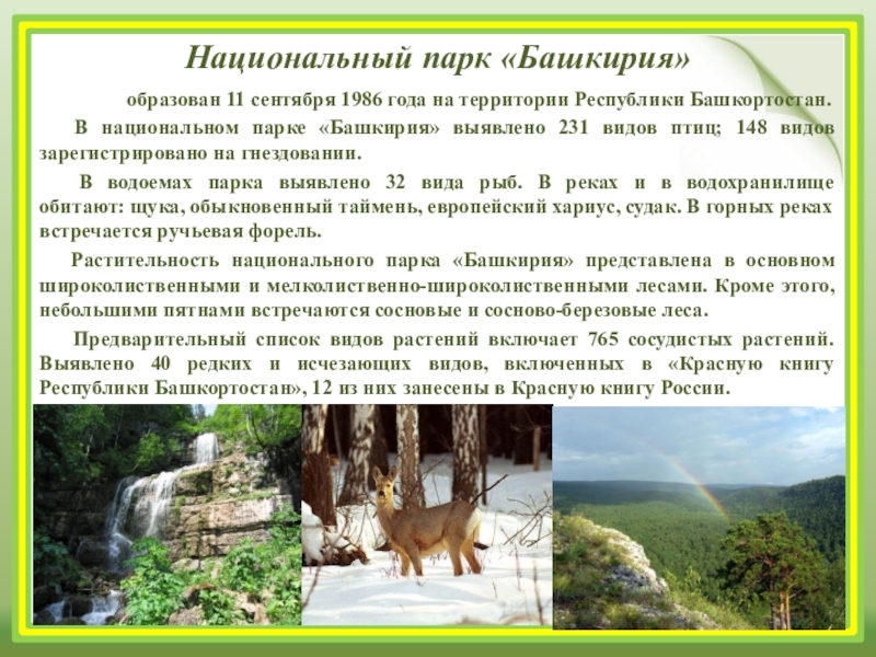 Национальный Парк Башкирия Фото