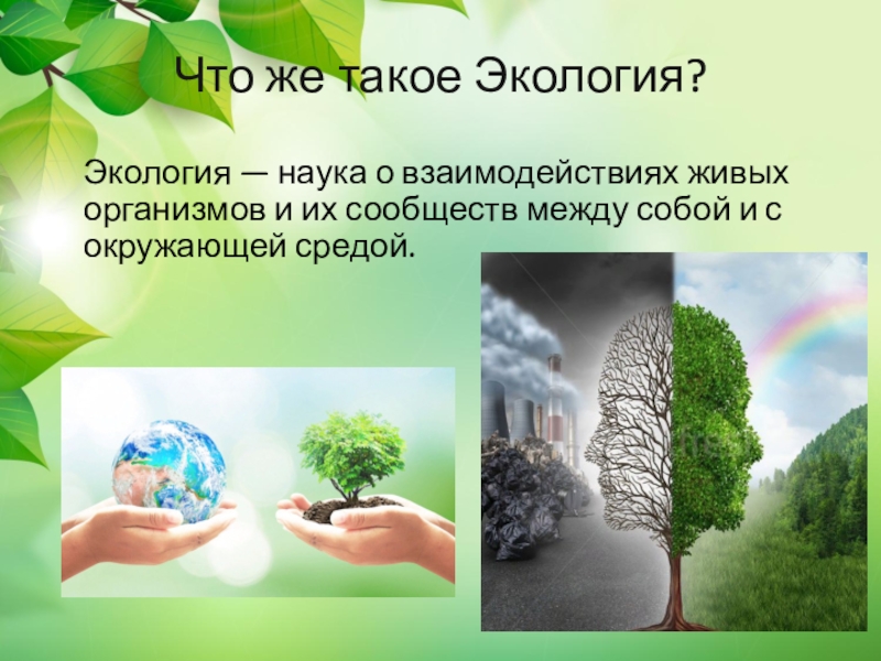 Экология окр мир 3. Экология это наука. Экология презентация. Окружающий мир экология. Окружающий мир окружающая среда.