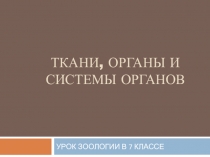Презентация по биологии Ткани, органы и системы органов