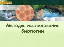 Презентация по биологии 5 класс. На тему Методы исследования в биологии