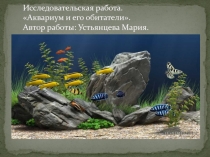 Презентация к проекту на тему: Аквариум и его обитатели.