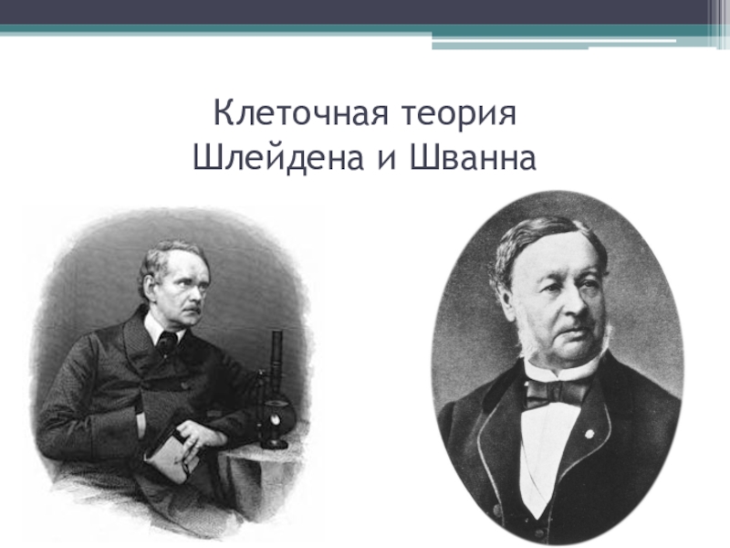 Клеточная теория шванна и шлейдена презентация