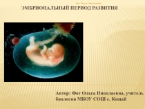 Презентация к уроку биологии в 9 классе Эмбриональный период развития