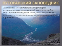 Презентация к уроку географии Затерянный мир Сибири - Путоранский заповедник 8 класс