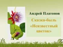 Презентация к уроку литературы по рассказу Платонова Неизвестный цветок