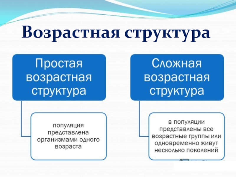 Структура возраста. Возрастная структура популяции. Сложная возрастная структура. Простая возрастная структура. Сложная возрастная структура популяции.