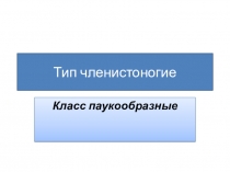 Презентация по биологии на тему Тип Членистоногие. Класс Пауки(7 класс)