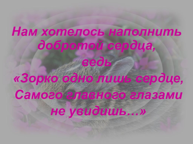 Нам хотелось наполнить добротой сердца, ведь «Зорко одно лишь сердце, Самого главного глазами не увидишь…»