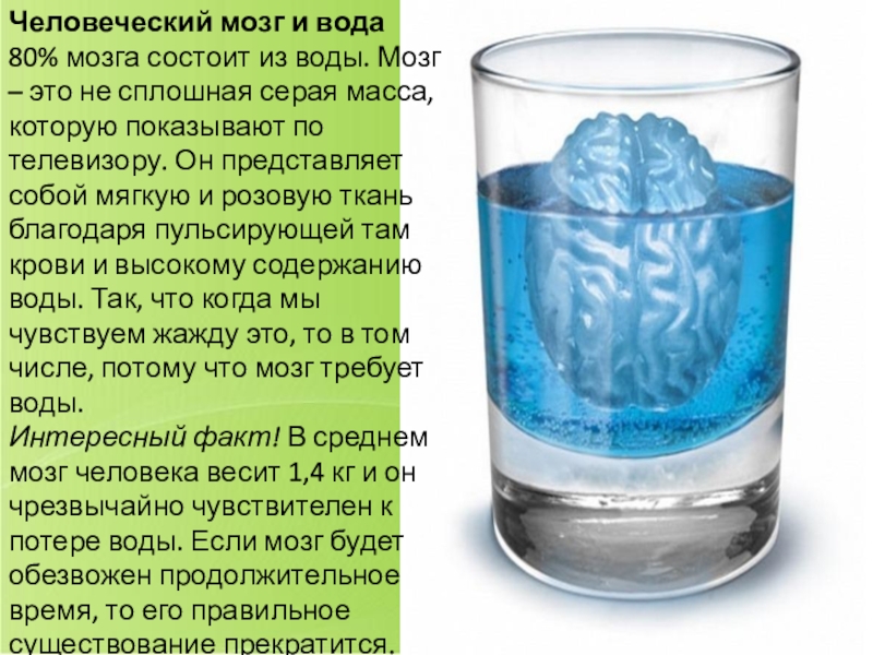 Вода 80. Мозг состоит из воды. На 80% мозг состоит из воды.. Мозг состоит из жидкости. Насколько мозг состоит из воды.