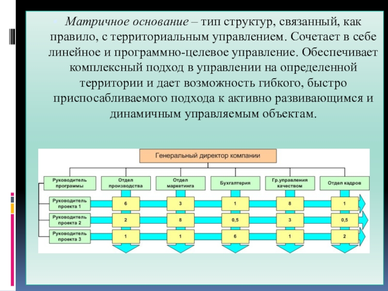 Дивизионально матричная структура