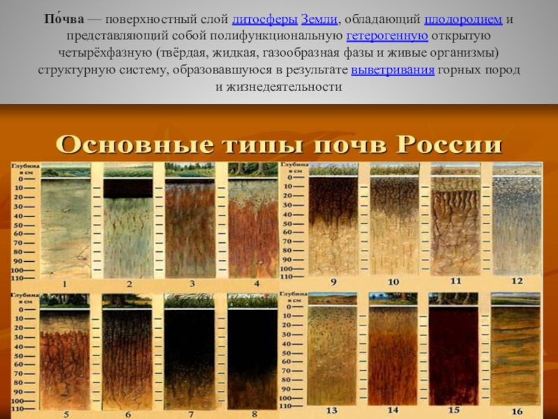 Почвы средней полосы. Основные типы почвы России 10. Степень плодородности почвы. Виды плодородных почв. Типы почв по плодородности.