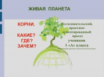 КОРНИ!!! Какие? Где? Зачем? презентация исследовательского проекта