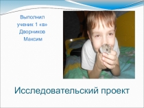 Презентация к исследовательскому проекту  Мой друг- Хомка