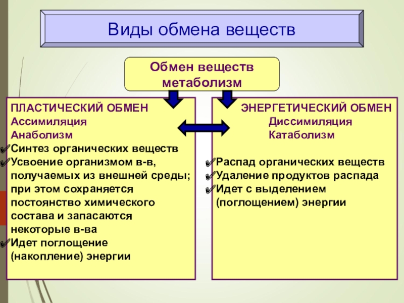 Типы вещества биология. Типы обмена веществ 8 класс биология. Обмен веществ пластический и энергетический обмен 8 класс. Обмен веществ и энергии 8 класс биология обмен веществ. Типы обмена веществ биология 10 класс.