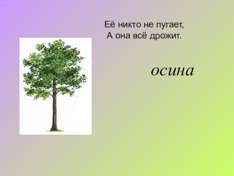 Никто не пугает а дрожит. Никто не пугает а вся. Никто не пугает а вся дрожит. Загадка никто не пугает а вся дрожит. Никто её не пугает а она вся дрожит ответ.