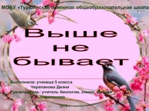 Презентация по биологии 5-6 класс Все о росте живых организмов