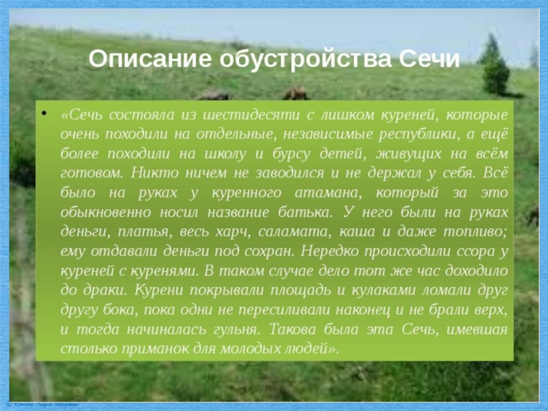 Нравы сечи. Описание Запорожской Сечи. Описание Запорожской Сечи Тарас Бульба. Запорожская Сечь описание кратко. Запорожская Сечь Тарас Бульба описание.