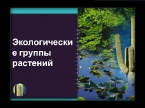 Презентация по биологии на тему Экологические группы растений (6 класс