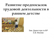 Развитие предпосылок трудовой деятельности