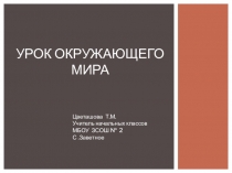 Презентация урока по окружающему миру Пётр Великий.Российская империя.(4 класс)