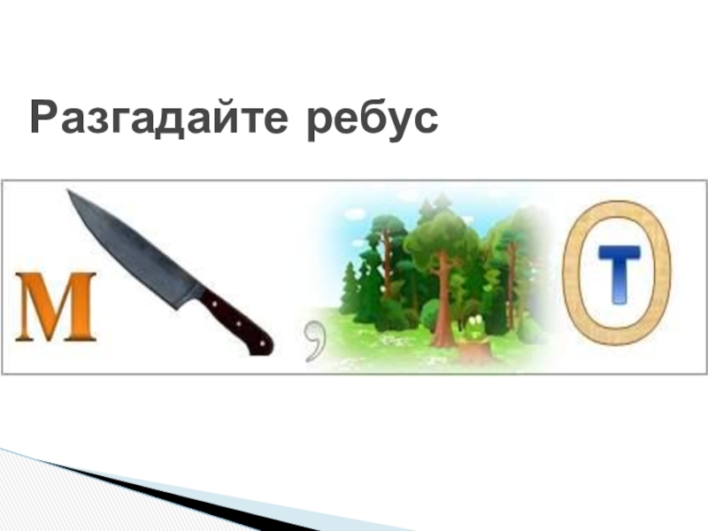 Презентация по алгебре 8 класс на тему: Множество и его элементы