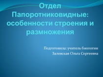 Папоротниковидные: особенности строения и размножения 7 класс