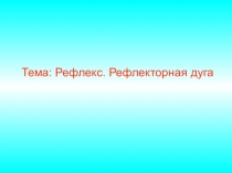 Презентация по биологии Рефлекторная дуга