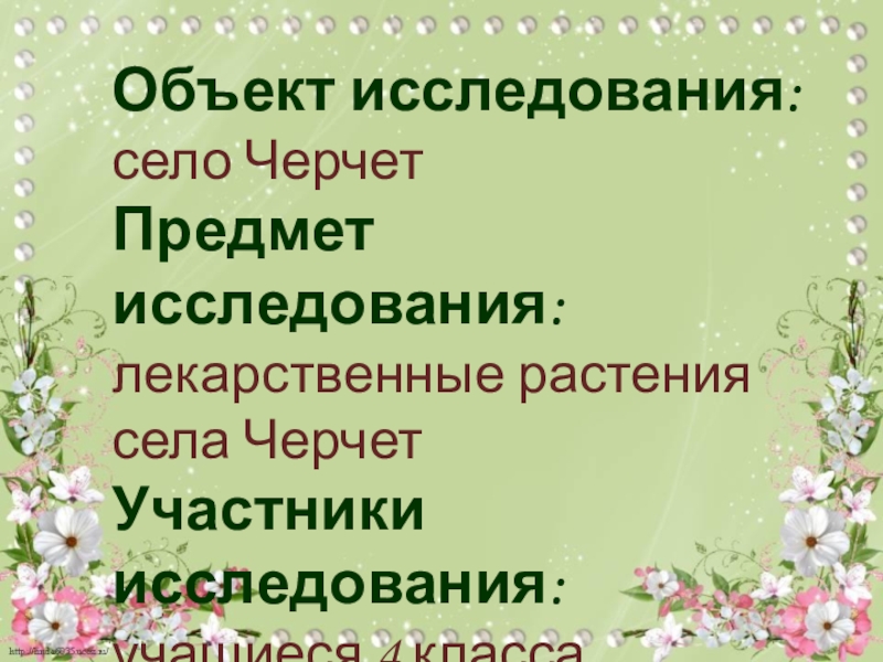 Исследовательская работа лекарственные растения. Растения села. Исследовательская работа лекарственные растения нашего края. Лекарственные растения Усть Илимска.