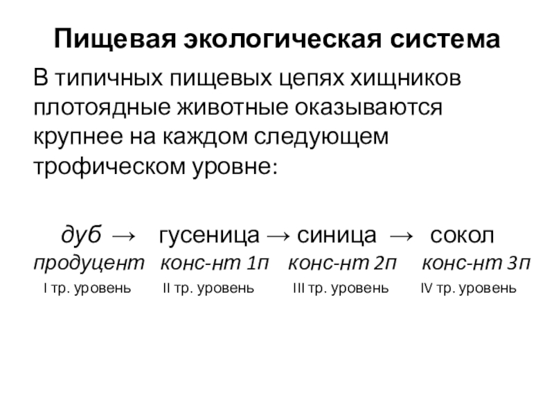 Пищевая экологическая системаВ типичных пищевых цепях хищников плотоядные животные оказываются крупнее на каждом следующем трофическом уровне: