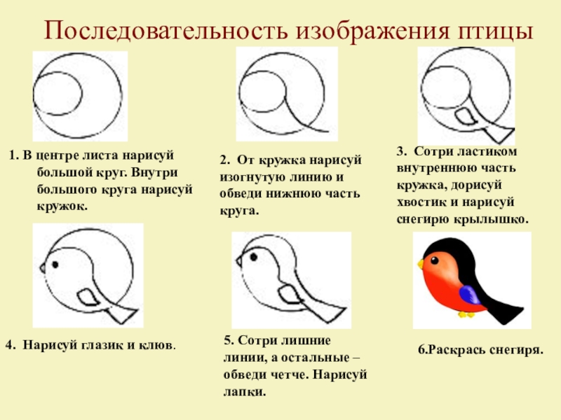 П последовательность. Последовательность изображений. Последовательность изображенных птиц. Последовательность в изображении птички. Последовательность изображения птицы 2 класс.