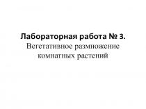 Презентация по биологии на тему Лаб.раб №3 (6класс)