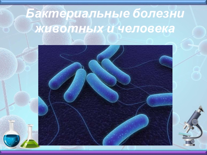 4 заболевания бактериями