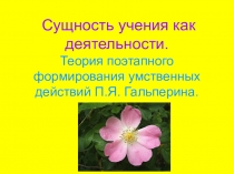 Сущность учения как деятельности