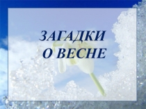 Презентация по литературному чтению на тему  загадки о весне ( 2-3 класс)