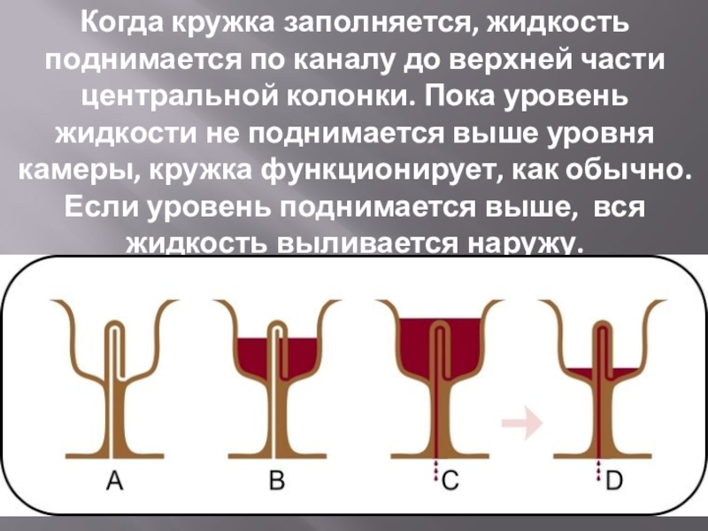 Заполнены жидкостью