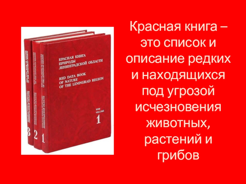 Проектная работа красная книга