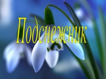 Презентация по русскому языку для 1 класса