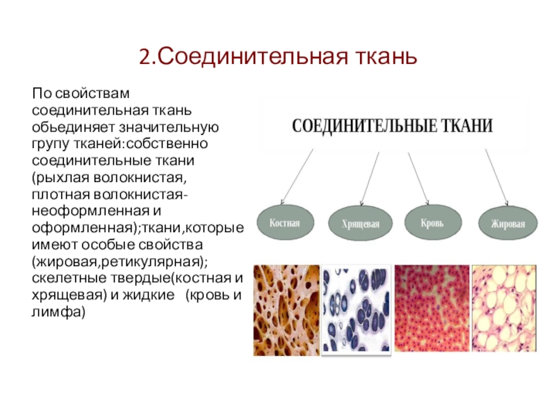 Соединительная ткань какие. Соединительная ткань-виды.строение свойства.. Типы строение соединительной ткани. Кровь соединительная ткань таблица. Свойства соединительной ткани.