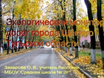 Экологический мониторинг дорог города Щекино Тульской области