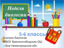 Презентация Викторина по биологии (5-6 классы)