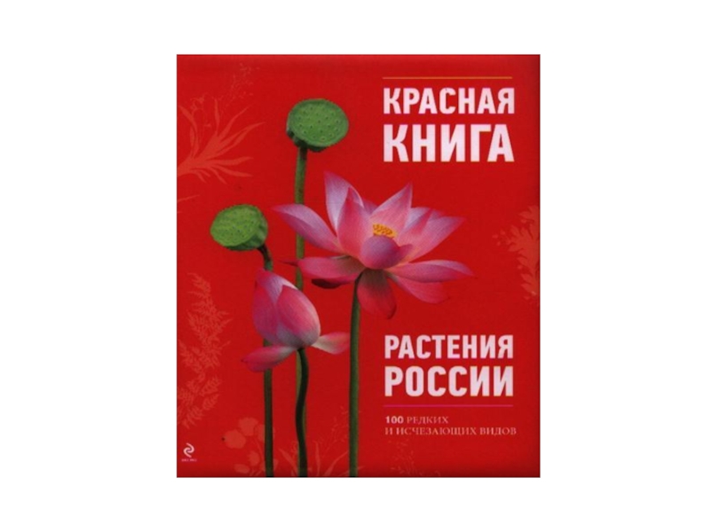 Книга растений. Красная книга России растения обложка. Красная книга России растения последнее издание. Растения России книга. Красная книга РФ растения.