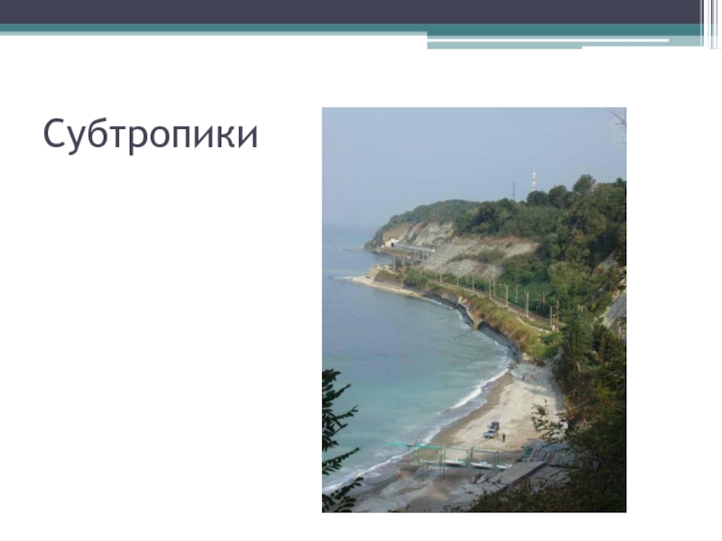 Животные субтропиков 4 класс. Субтропики на карте. Субтропики на карте России. Субтропическая зона расположение. Граница субтропиков в России.