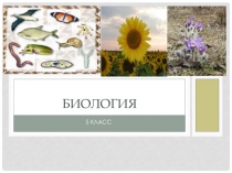 Презентация по биологии на тему Предмет биологии