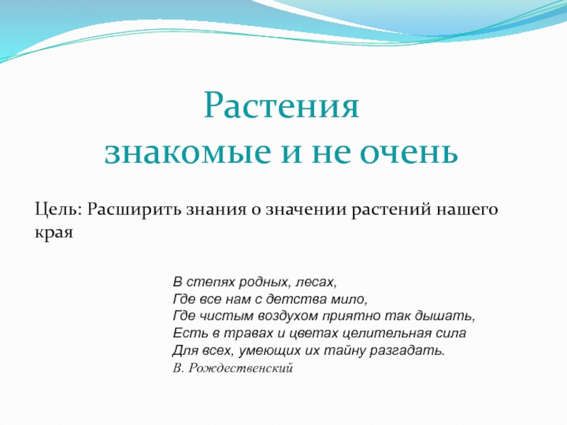 Проект на тему декоративные растения нашего края