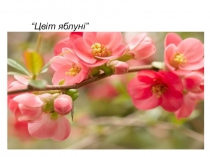 Презентация к новелле М.Коцюбинского  Цвіт яблуні