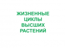 Материал по ботанике для подготовки к ЕГЭ